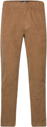 Hco. Guys Pants Bottoms Trousers Chinos Brown Hollister