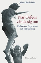 När Orfeus vände sig om : En bok om depression som förlorad självaktning