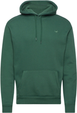 "Hco. Guys Sweatshirts Tops Sweatshirts & Hoodies Hoodies Green Hollister"