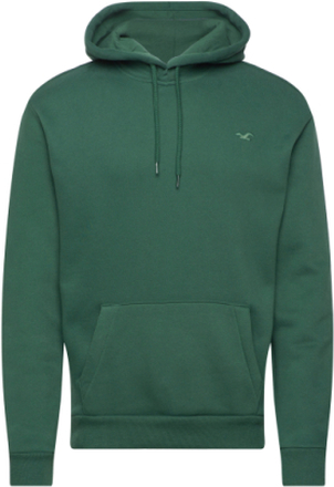 Hco. Guys Sweatshirts Tops Sweatshirts & Hoodies Hoodies Green Hollister