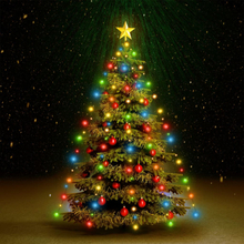 vidaXL Rete di Luce per Albero di Natale 150 LED Multicolore 150 cm