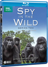 Spion in freier Wildbahn: Serie 2