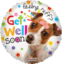 Get well Doggy
