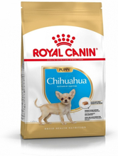 Royal Canin Breed Chihuahua Junior (500 g)
