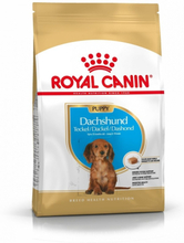 Royal Canin Breed Dachshund Junior 1,5 kg