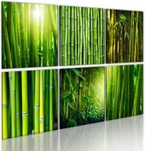 Canvas Tavla - Bamboo has many faces - 120x80