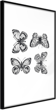 Inramad Poster / Tavla - Butterfly Collection III - 20x30 Svart ram