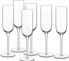 Champagneglas Prosecco Vinalia 6 Stk. Home Tableware Glass Champagne Glass Nude Luigi Bormioli