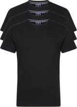 Vle Tee Triple Pack T-shirts Short-sleeved Svart Superdry*Betinget Tilbud