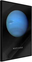Inramad Poster / Tavla - The Solar System: Neptun - 30x45 Svart ram