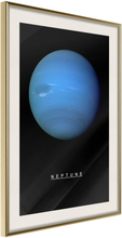Inramad Poster / Tavla - The Solar System: Neptun - 20x30 Guldram med passepartout