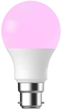 Nordlux - Leuchtmittel Smart Colour 8W (806lm) 2200-6500K Dim. White B22 Nordlux