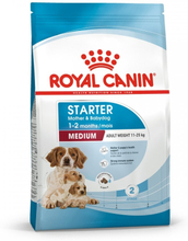 Royal Canin Medium Starter (4 kg)
