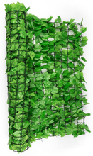 Fency Bright Ivy insynsskyddsstaket vindskydd 300x100 cm murgröna ljusgrön