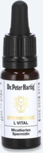 Dr. Peter Hartig - Für Ihre Gesundheit Spermidine L Vital, 10 ml