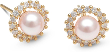 Lily and Rose Colette pearl stud earrings Rosaline