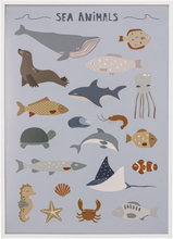 Bloomingville plakat i hvid ramme - Sea Animals