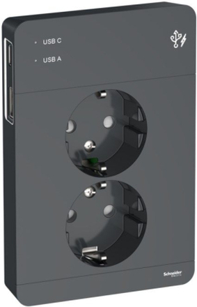 Schneider Electric Exxact Jordat vägguttag med USB-portar Svart