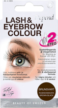 Lash/Eyebrow Col. Brown Black Se/Fi Beauty Women Makeup Eyes Eyebrows Eyebrow Colour Nude Depend Cosmetic