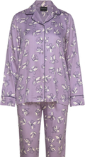 Nightsuit Pyjamas Nattøj Purple Brandtex