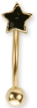 Guldfärgad Ögonbrynspiercing med Svart Stjärna - 1.2 x 8 mm