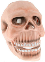 Decay Skeleton Face Mask