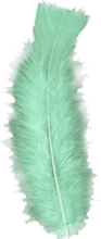 50 st Dekorationsfjädrar – Mintgrön