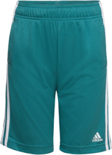 Essentials 3-Stripes Knit Shorts Sport Shorts Sport Shorts Blue Adidas Sportswear