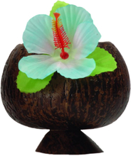 Coconut Cup - Hawaiikopp med Blomst