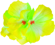 Fint Hårspänne med Gul Hawaii-Blomma