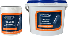 Biofarmab Thiamin 1 kg