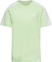 Lk 3S Co Tee Sport T-Kortærmet Skjorte Green Adidas Performance