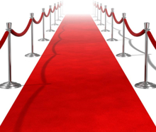 457x61 cm Red Carpet - VIP Party