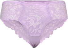 Shiloh Brazilian Sh R Lingerie Panties Brazilian Panties Purple Hunkemöller