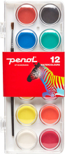 Penol Standard Akvarellfärg 12-Pack