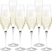 Holmegaard - Cabernet champagneglass 29 cl 6 stk