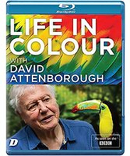 Life in Colour with David Attenborough