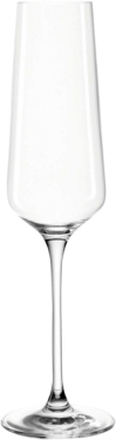 Champagneglas PUCCINI 6-pack