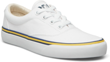 Logo Cotton Canvas Sneaker Low-top Sneakers White Polo Ralph Lauren