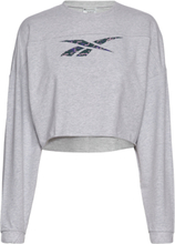 Modern Safari Coverup Sport Sweatshirts & Hoodies Sweatshirts Grey Reebok Performance