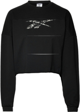 Modern Safari Coverup Sport Sweatshirts & Hoodies Sweatshirts Black Reebok Performance