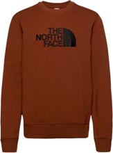 The North Face Drew Peak Sweatshirt Brown