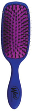 Wet Brush Shine Enhancer Brush Blue