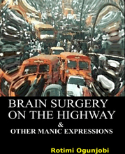 Brain Surgery on the Highway and Other Manic Expressions