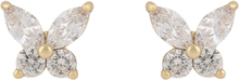 Meya Butterfly Small Ear Accessories Jewellery Earrings Studs Gold SNÖ Of Sweden