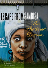 Escape from Sambisa