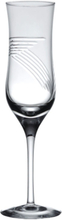 Hadeland Glassverk Surf Champagne / Hvitvinsglass 22 cl