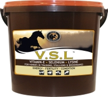 Fodertillskott Foran Equine E-Vitamin Selen/Lysin VSL 2,5kg