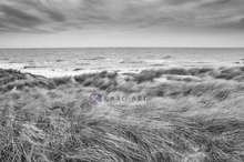 Schilderij - De Noordzee en duinen in zwart en wit, premium print, 2 maten , Wanddecoratie