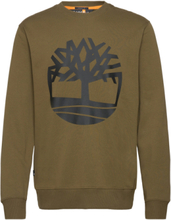 Core Logo Crew Bb Designers Sweatshirts & Hoodies Sweatshirts Khaki Green Timberland